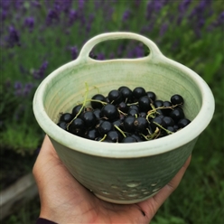 Bilde av Bærbar grønn