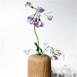 Bilde av VASE STOR, EIK