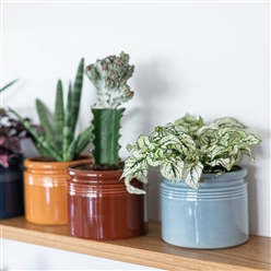 Bilde av Krukke H: 14 cm, div farger